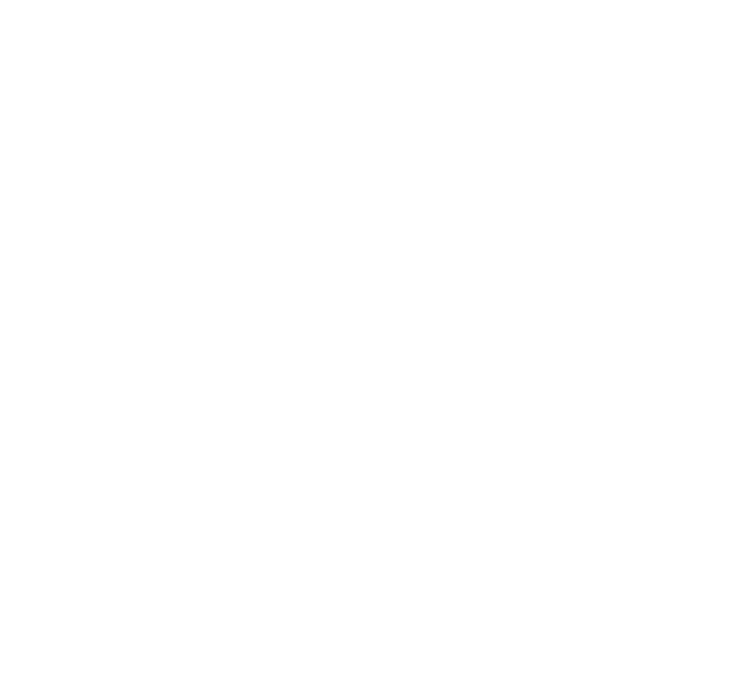 Logo Lions Club Steyrtal